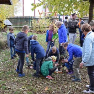 junge Pflanzen brauchen Wasser